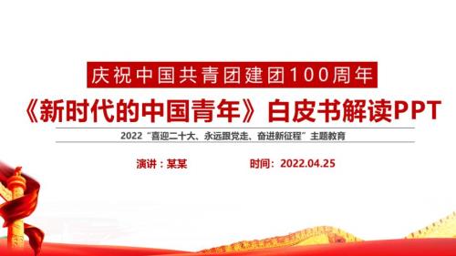 新时代的中国青年白皮书全文PPT.pptx