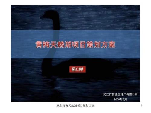 湖北黄梅天鹅湖项目策划方案课件.ppt