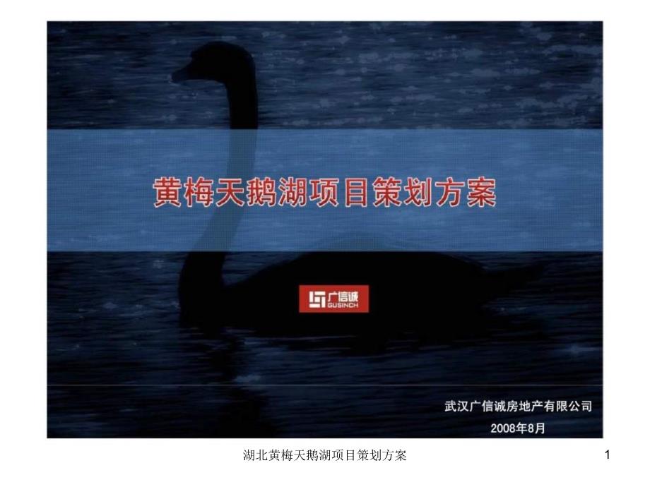 湖北黄梅天鹅湖项目策划方案课件.ppt_第1页