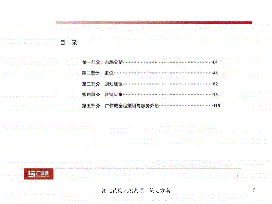 湖北黄梅天鹅湖项目策划方案课件.ppt_第3页