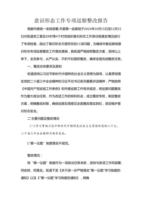 意识形态工作专项巡察整改报告.docx