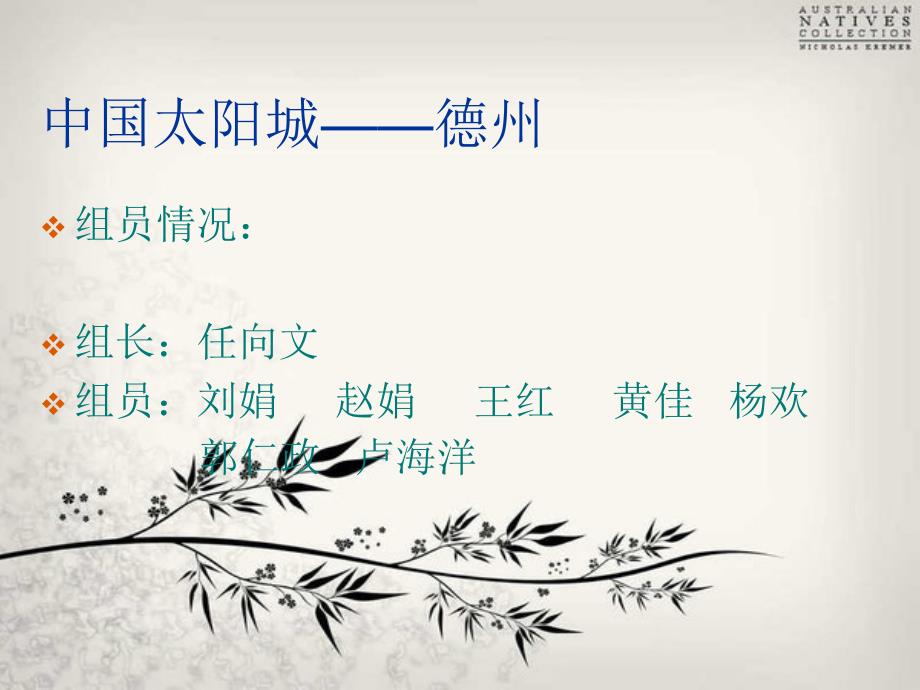 我的家乡德州简介.ppt_第2页