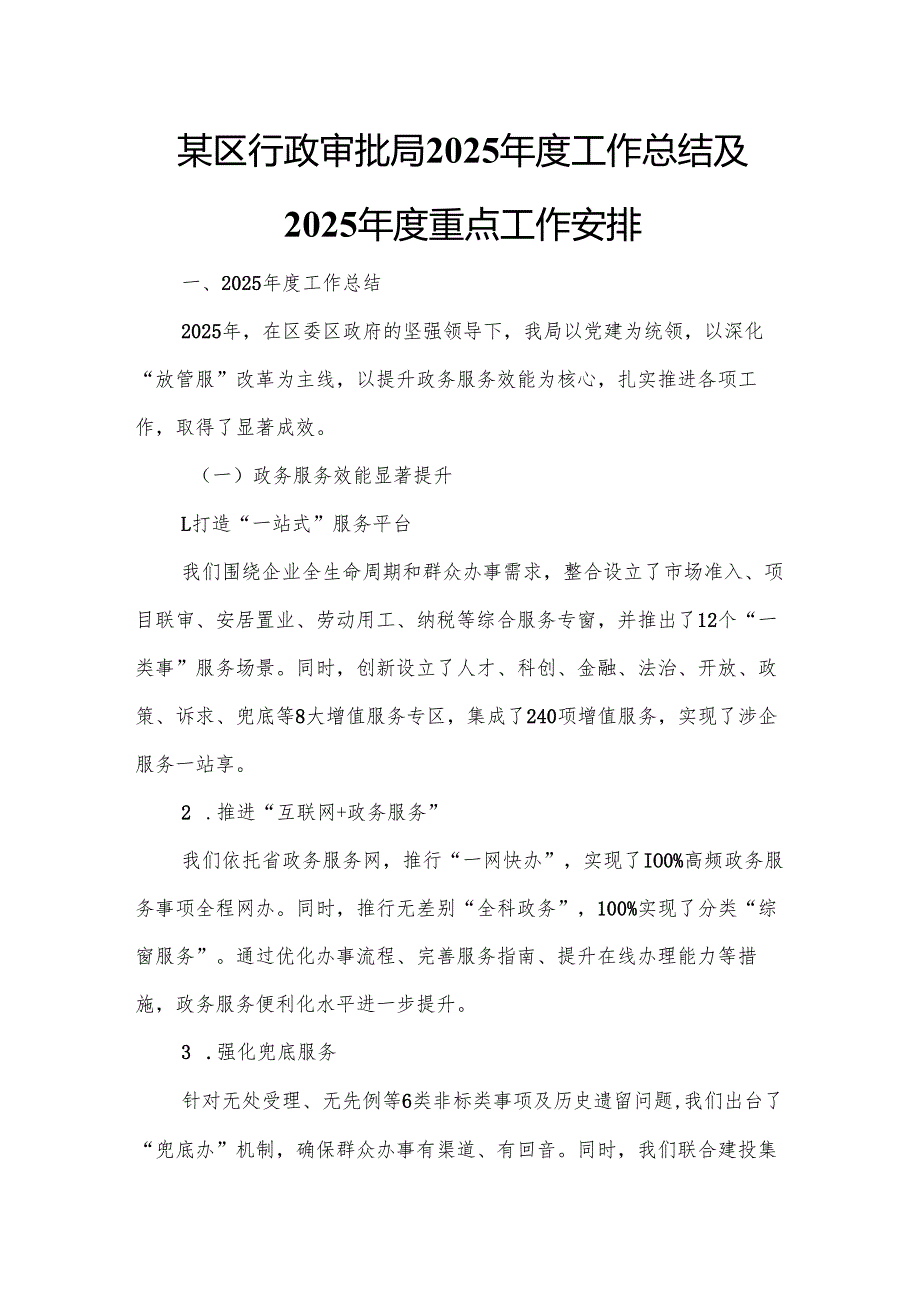 某区行政审批局2025工作总结及2025重点工作安排.docx_第1页