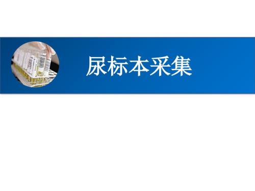 尿标本留取ppt课件.pptx