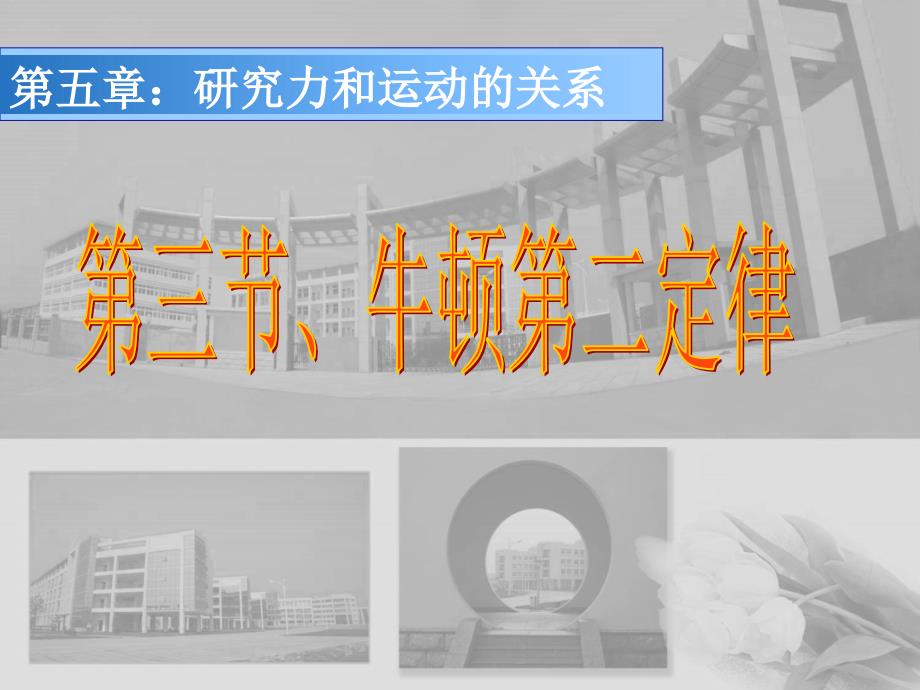 牛顿第二定律课件.ppt_第1页