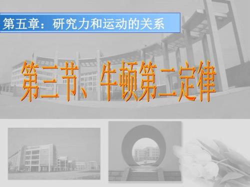牛顿第二定律课件.ppt