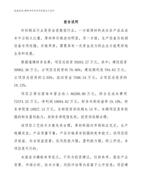 朝阳市针织布项目商业计划书模板.docx