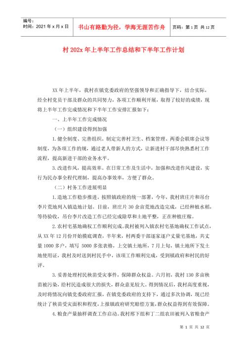 村202x年上半年工作总结和下半年工作计划.doc