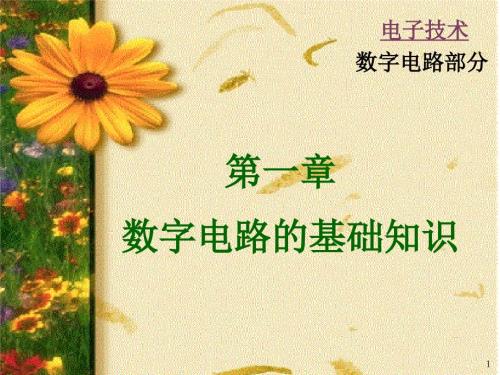 数字电路基础知识PPT课件.ppt
