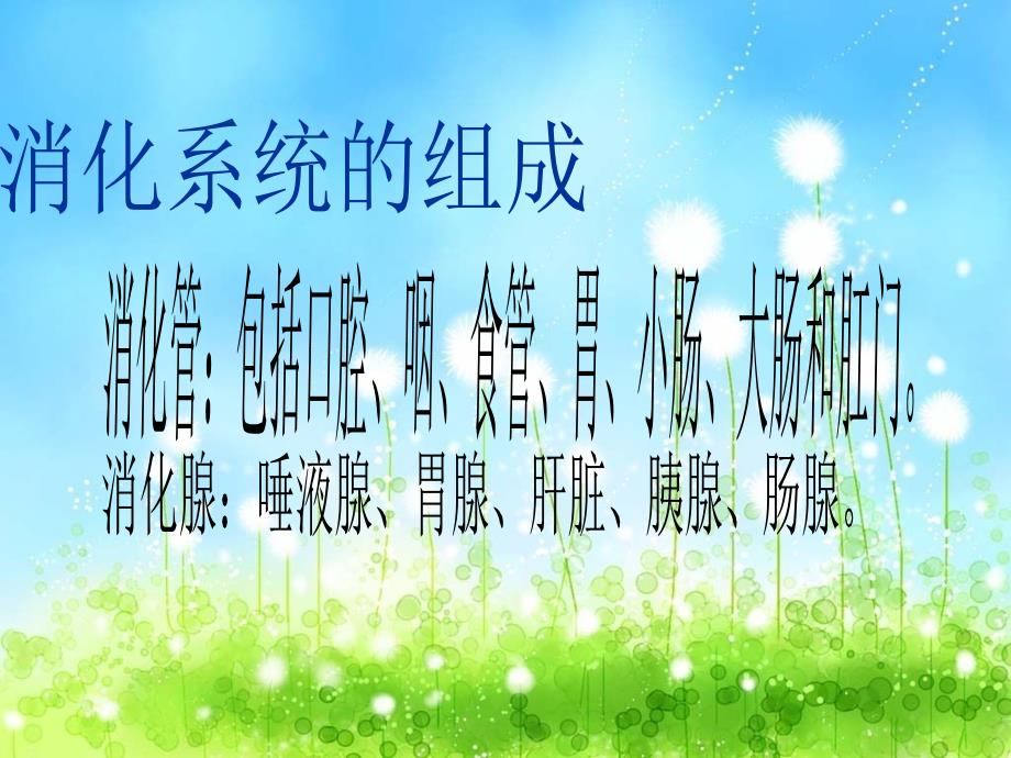 消化系统疾病的饮食指导.ppt_第2页