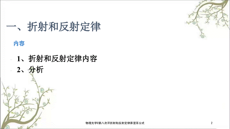 物理光学8第八次课折射和反射定律菲涅耳公式.ppt_第2页