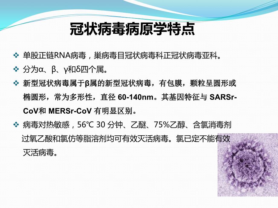 新冠肺炎.pptx_第2页