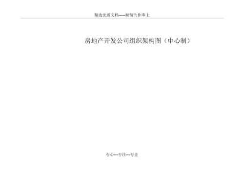 房地产开发公司组织架构图共10页.doc