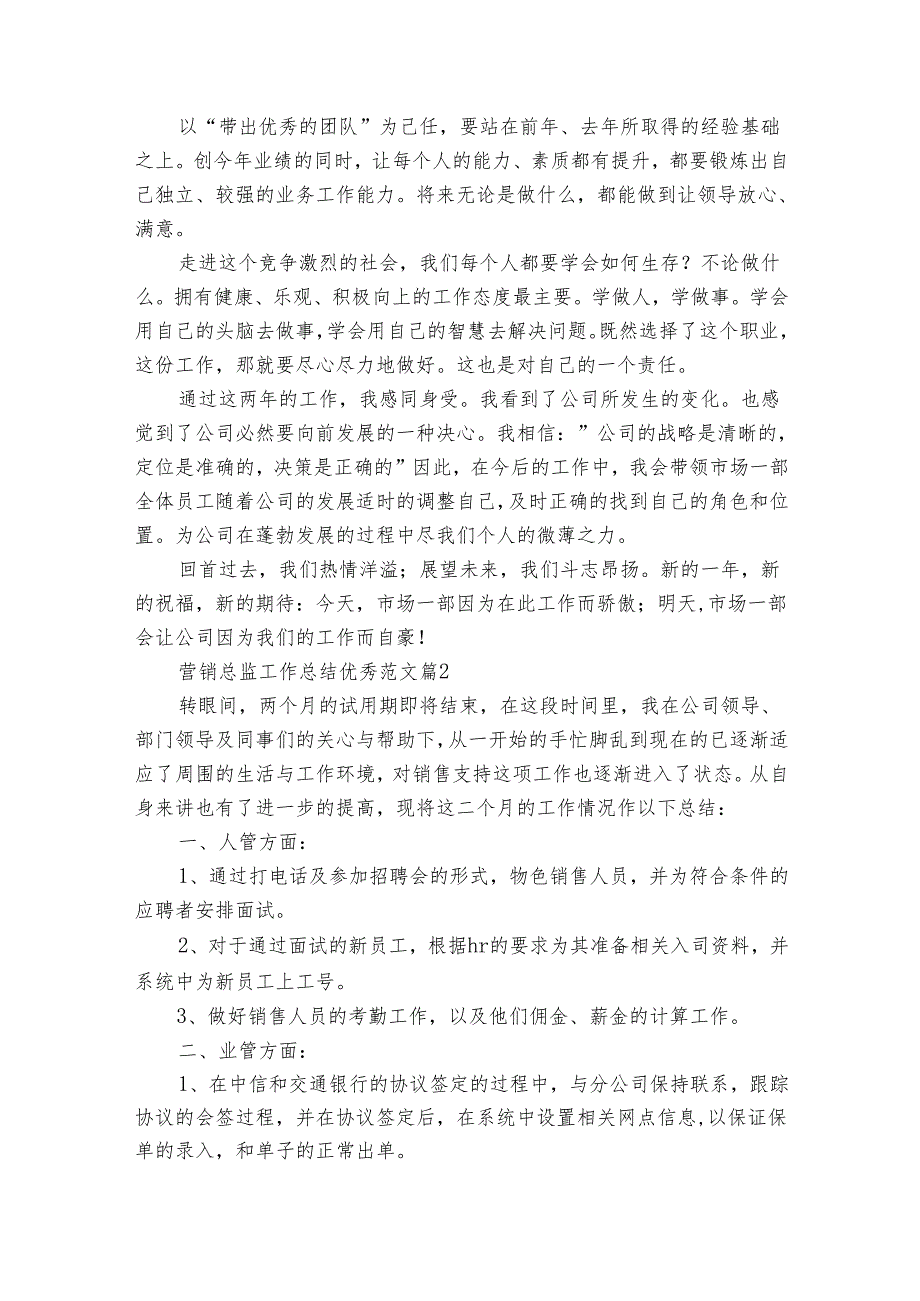 营销总监工作总结优秀范文（17篇）.docx_第2页