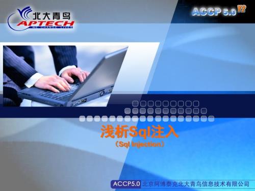 浅析SQL注入PPT课件.ppt