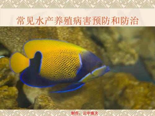常见水产养殖病害预防.ppt