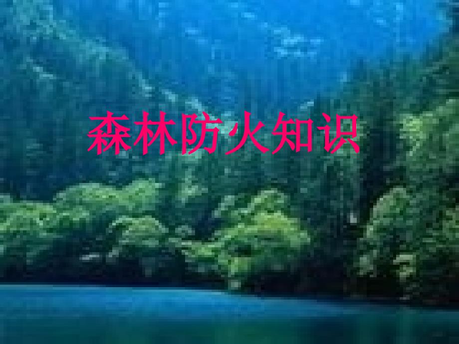 森林防火知识讲座PPT课件.ppt_第1页
