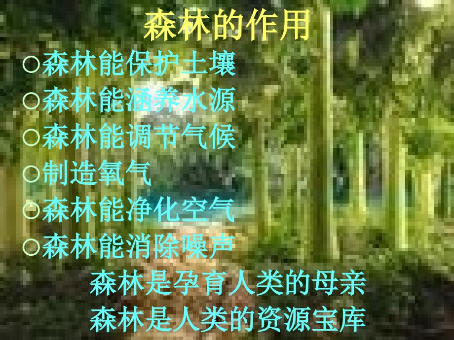 森林防火知识讲座PPT课件.ppt_第3页