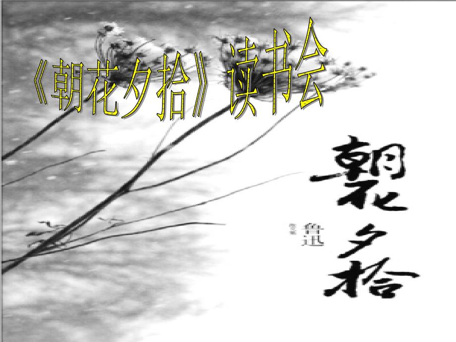 朝花夕拾读书交流会ppt课件.ppt_第2页