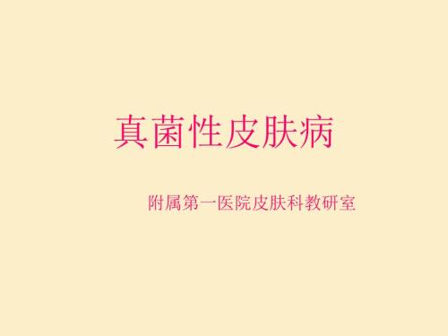 浅部真菌病新PPT课件.ppt