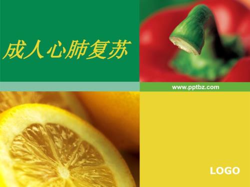 成人心肺复苏ppt课件.ppt