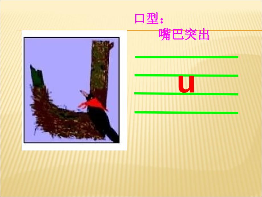 拼音PPT课件单韵母u.ppt_第3页