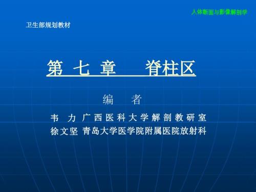 断层解剖学脊柱区.ppt