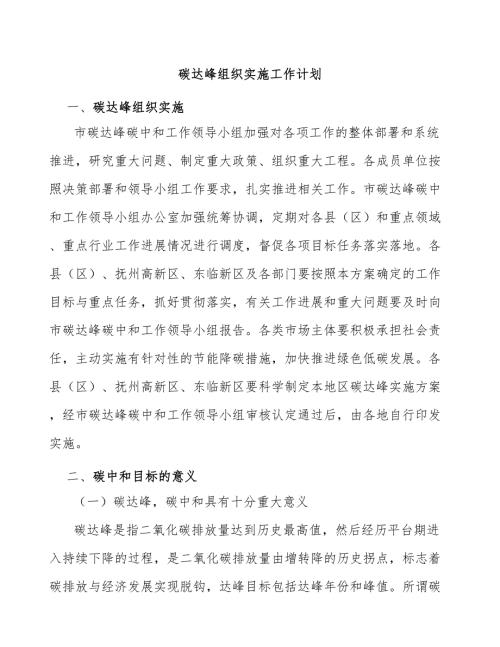 碳达峰组织实施工作计划.docx