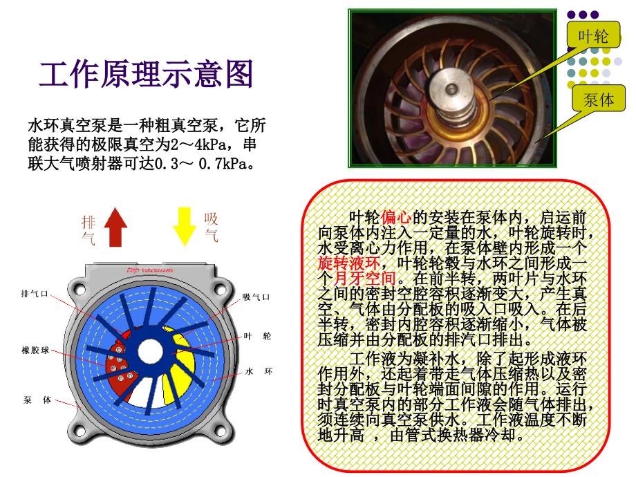 水环真空泵PPT课件.ppt_第3页