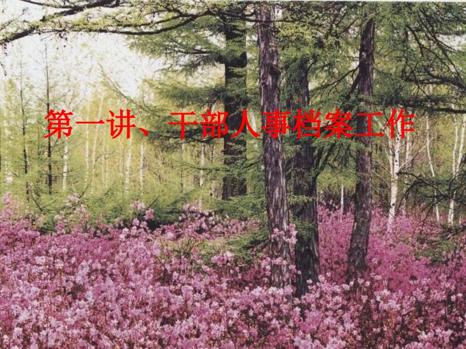 干部人事档案业务知识讲座.ppt_第3页