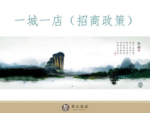招商营销一城一店招商政策.ppt