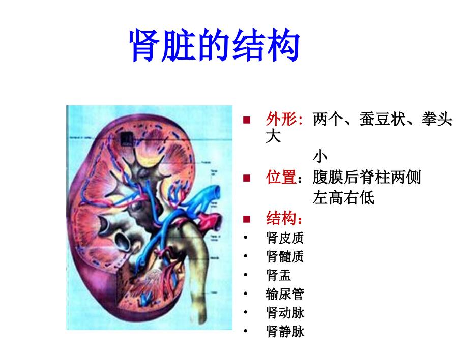 慢性肾衰竭PPT课件.ppt_第3页