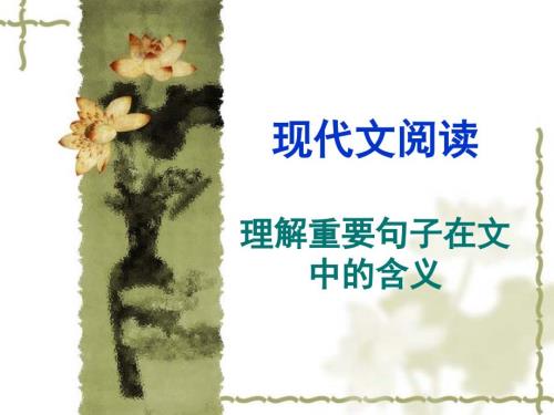 现代文阅读讲座理解重要句子在文中的含义tao.ppt