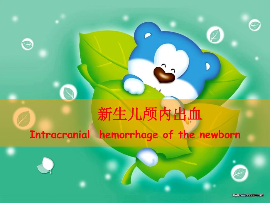 新生儿颅内出血患儿的护理课件.pptx_第2页