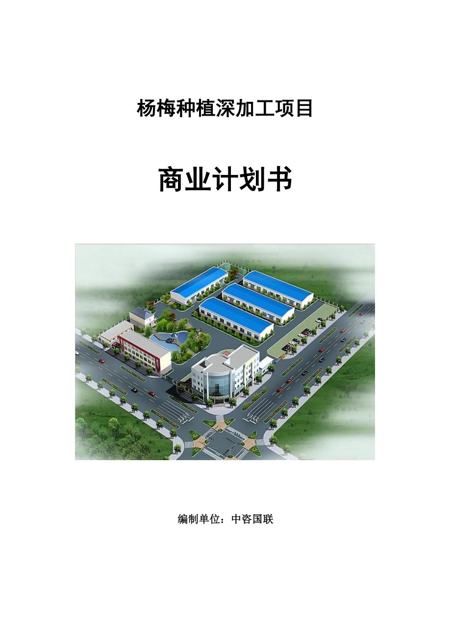杨梅种植深加工项目商业计划书写作范文.doc_第1页
