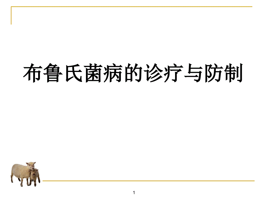 布鲁氏菌病.ppt_第1页
