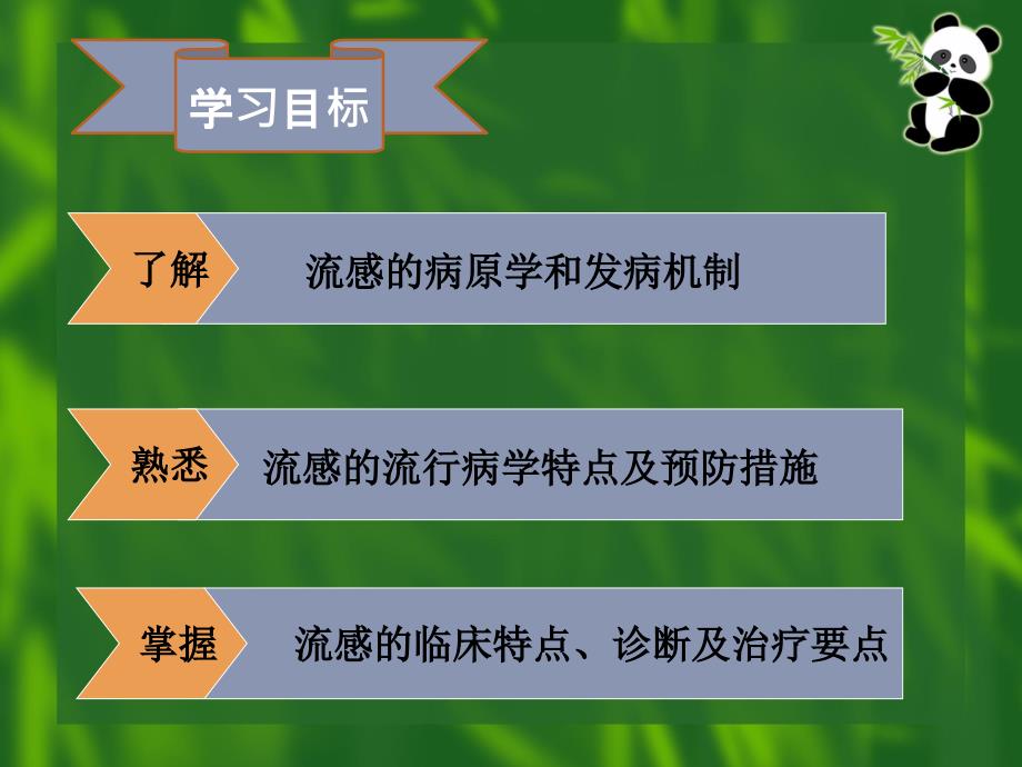 流感ppt课件.ppt_第2页