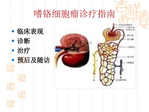 最新最新嗜铬细胞瘤诊疗指南PPT文档PPT文档.ppt