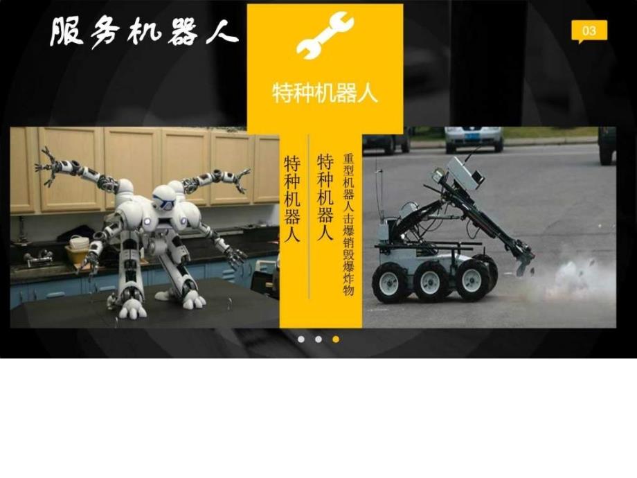 服务机器人调查报告图文.ppt.ppt_第3页