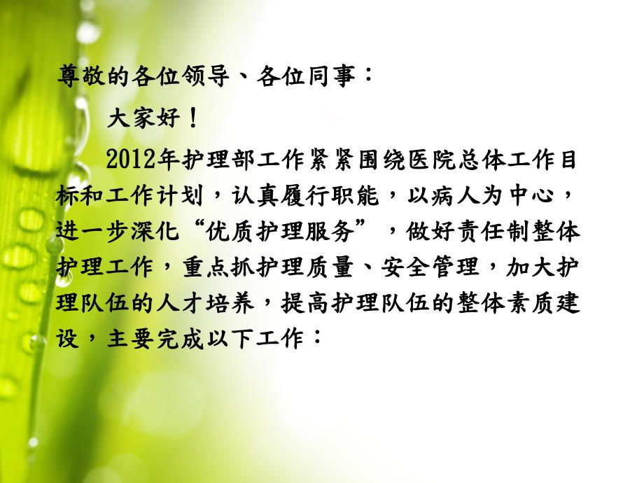 护理工作总结PPT课件.ppt_第2页