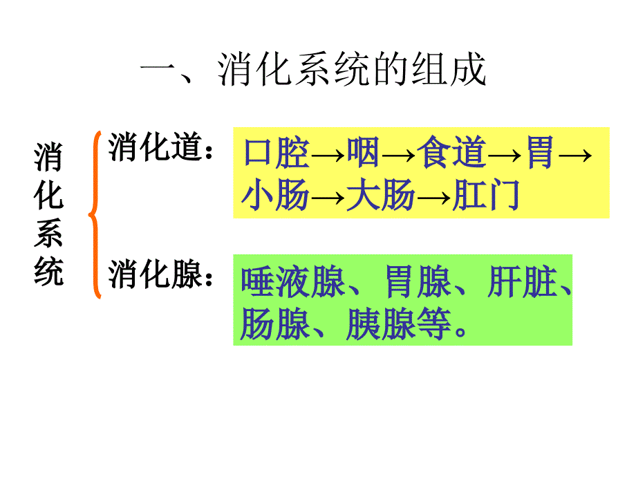 时人体的消化系统PPT课件.ppt_第3页