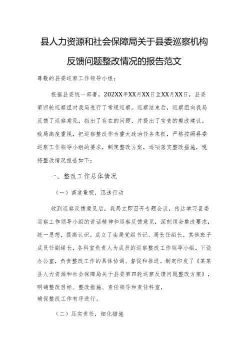 2025年人力资源和社会保障部门关于巡察机构反馈问题整改情况的报告范文.docx