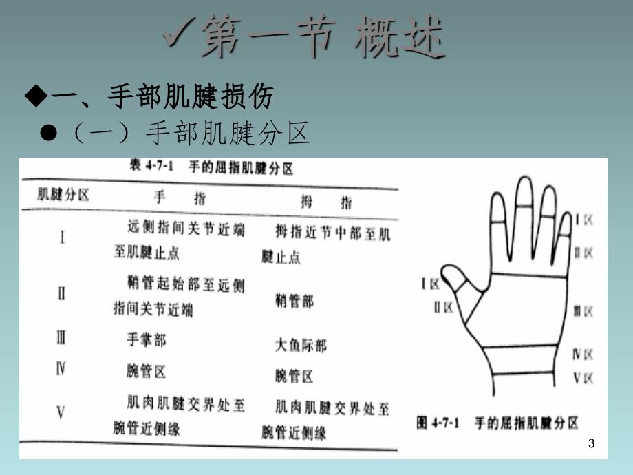 手外伤的康复PPT演示课件.ppt_第3页
