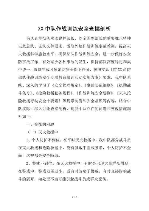 消防中队作战训练安全查摆剖析.doc