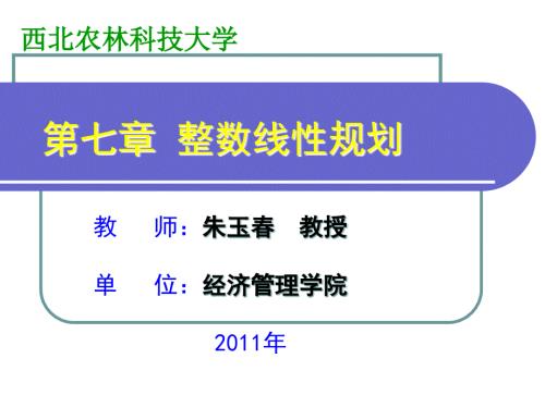整数线性规划PPT课件.ppt