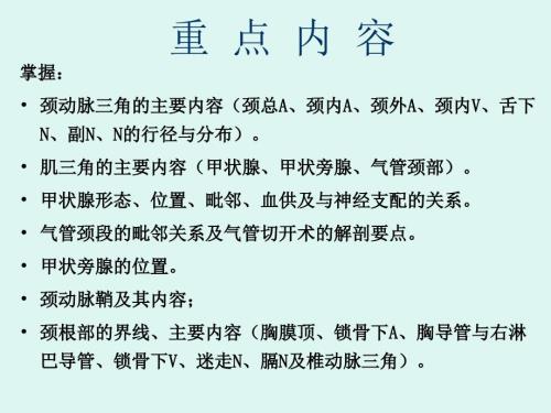 局解颈部解剖PPT课件.pptx