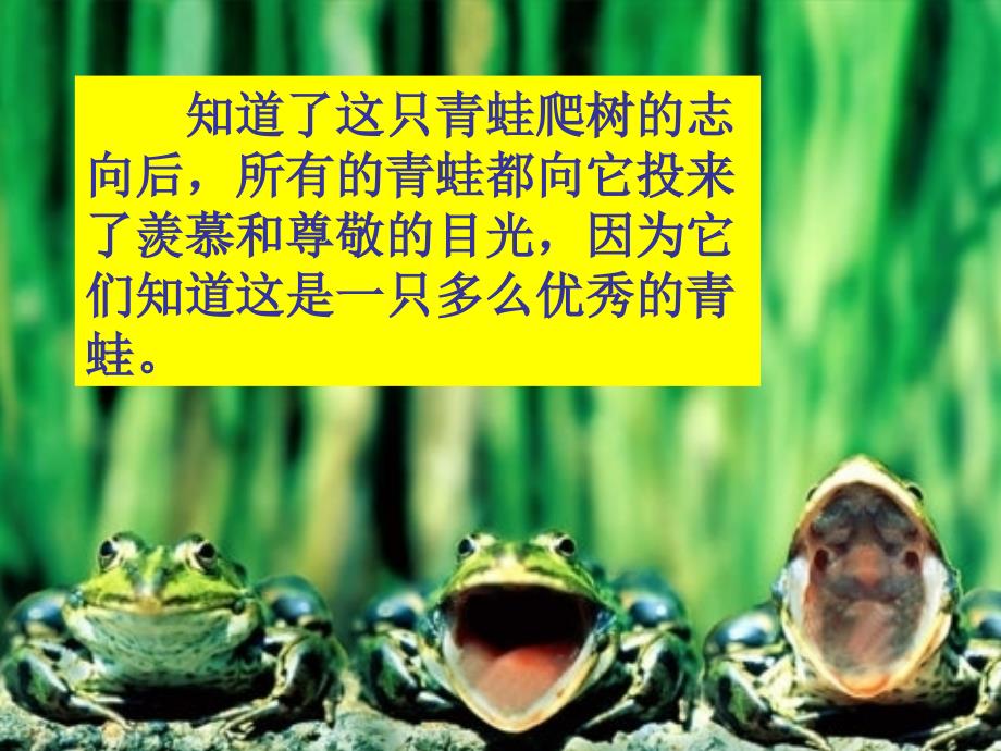 树蛙的故事PPT课件.ppt_第3页