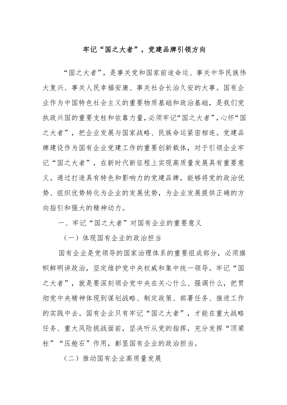 牢记“国之大者”党建品牌引领方向.docx_第1页