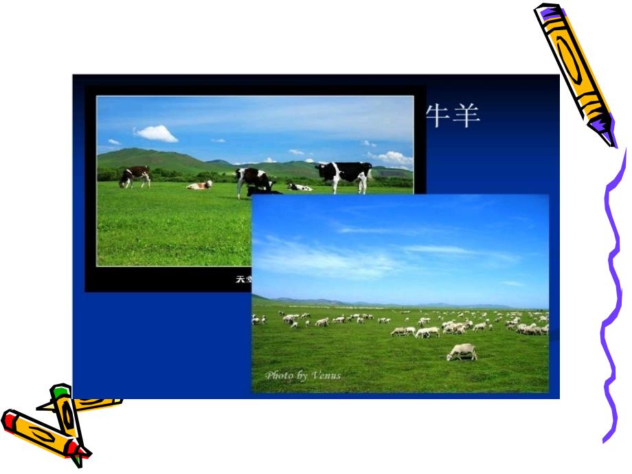 小学生食品药品安全讲座PPT.ppt_第3页