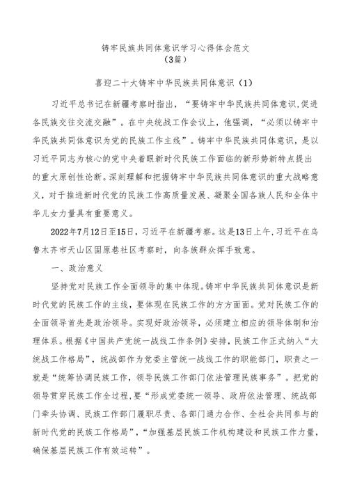 (3篇)铸牢民族共同体意识学习心得体会范文.docx
